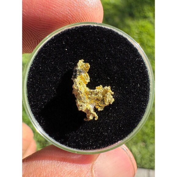 California Native Gold Crystal - 0.56 grams - Picture 5 of 7